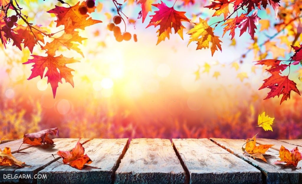 عکس پاییز غمگین