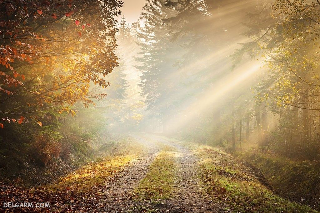 عکس پاییز غمگین