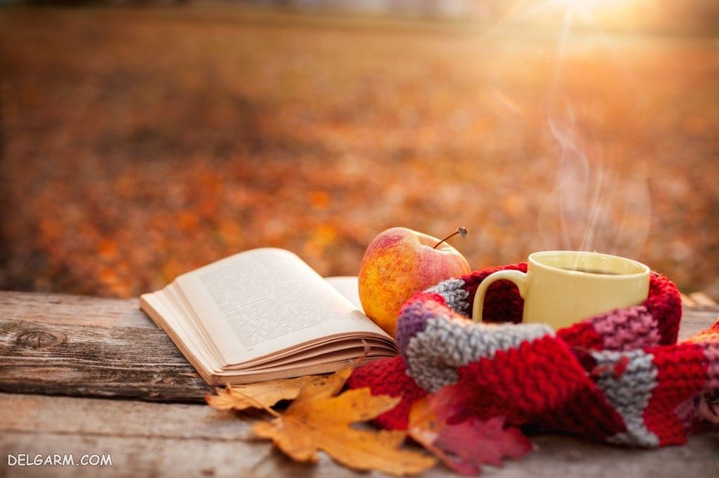 عکس پاییز غمگین