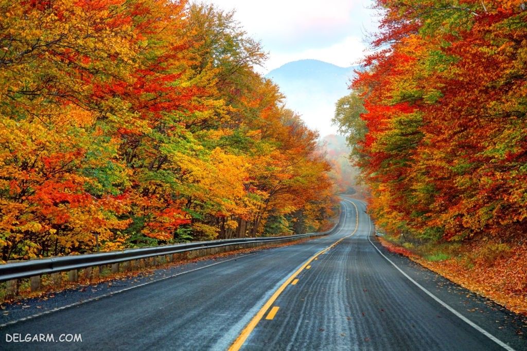 عکس پاییز غمگین