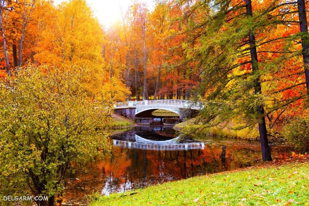 عکس پاییز غمگین