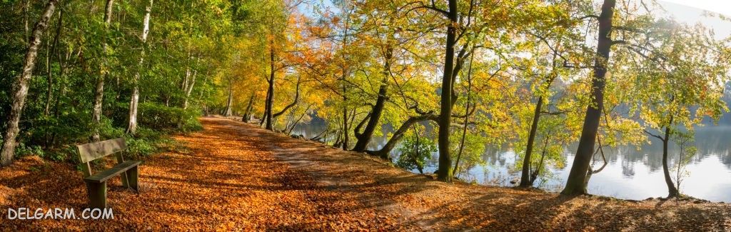 عکس پاییز غمگین