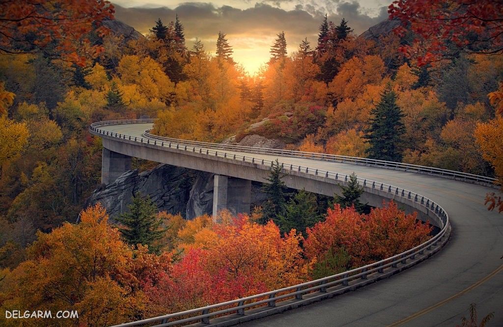 عکس پاییز غمگین