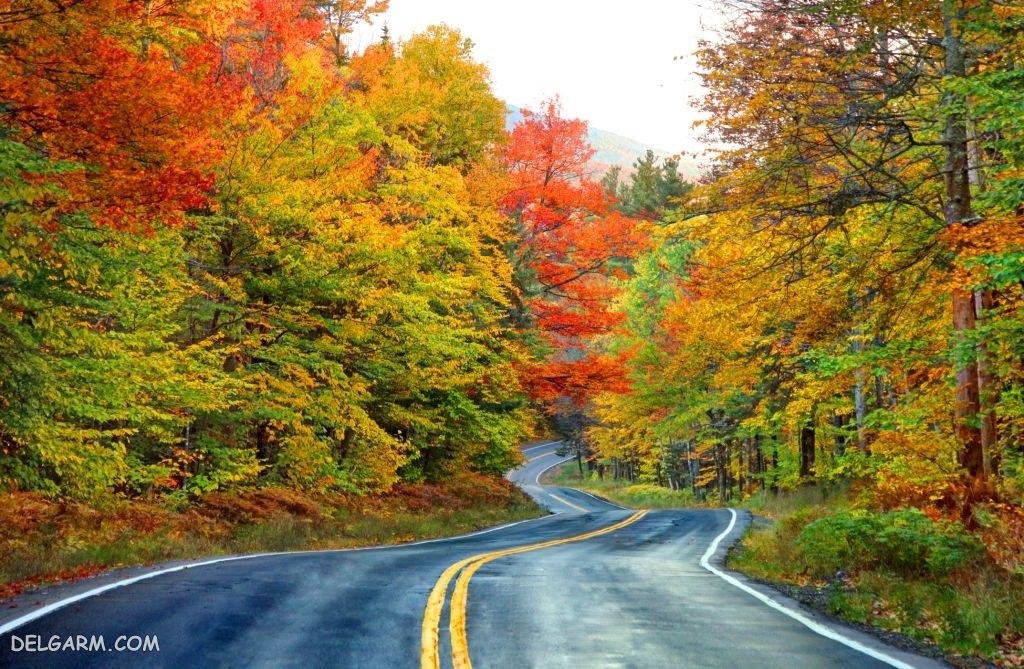 عکس پاییز غمگین