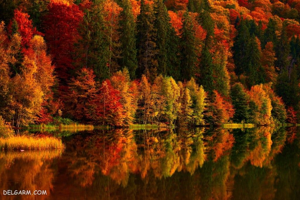 عکس پاییز غمگین