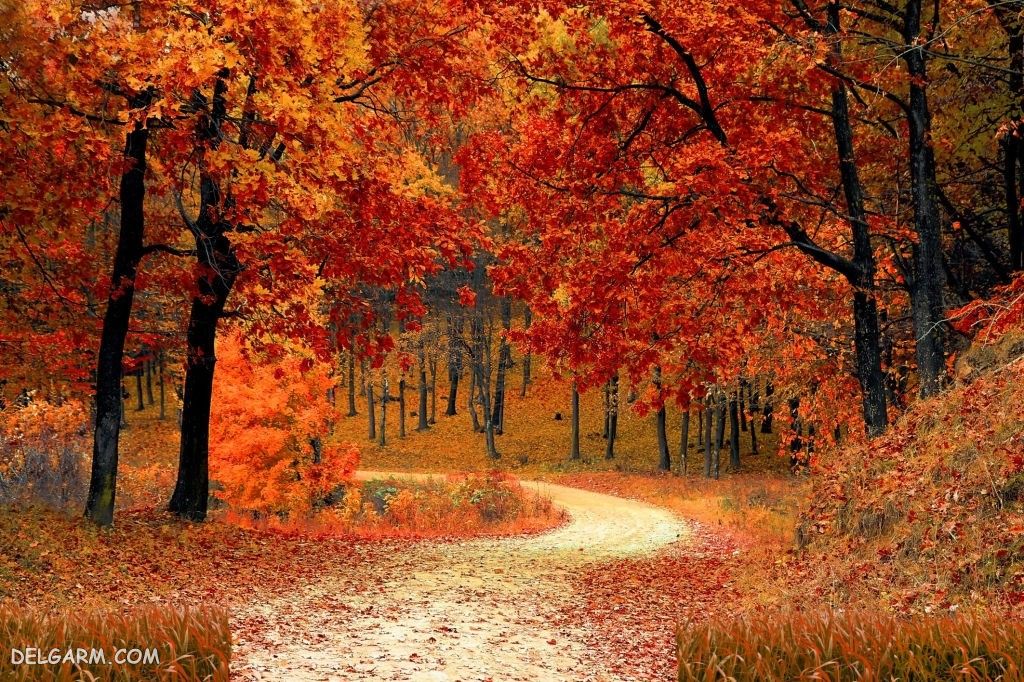 عکس پاییز غمگین