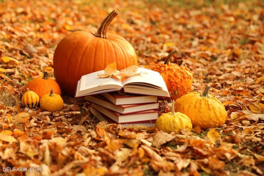 عکس پاییز غمگین