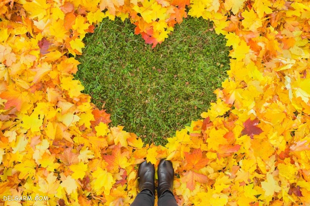 عکس پاییز غمگین