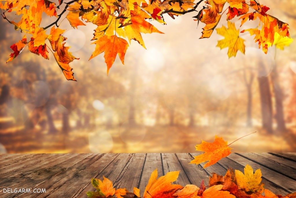 عکس پاییز غمگین