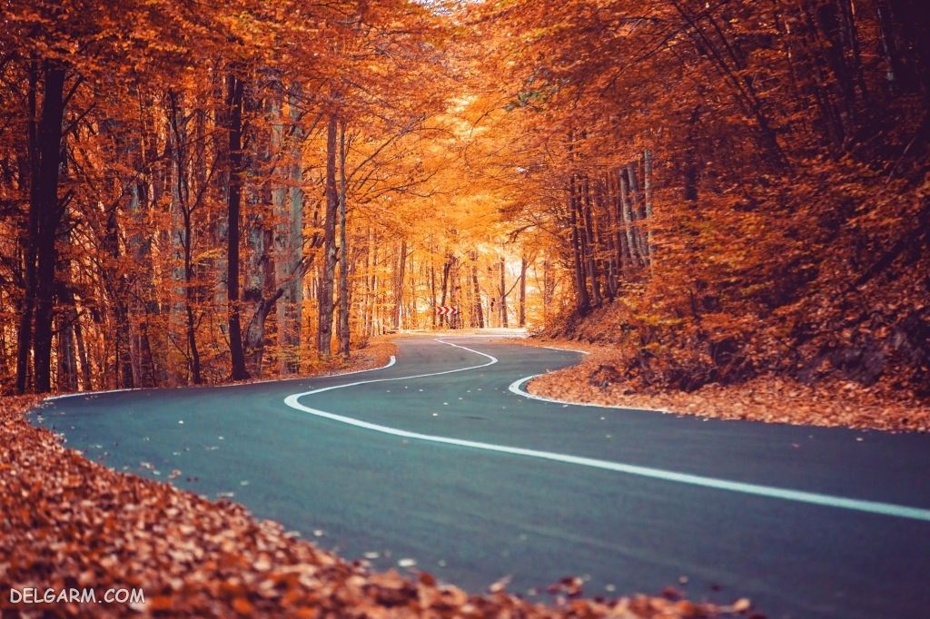 عکس پاییز غمگین