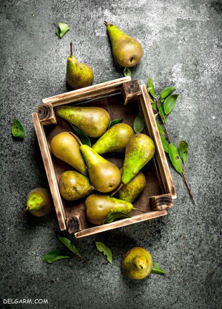  عکس گلابی برای پروفایل