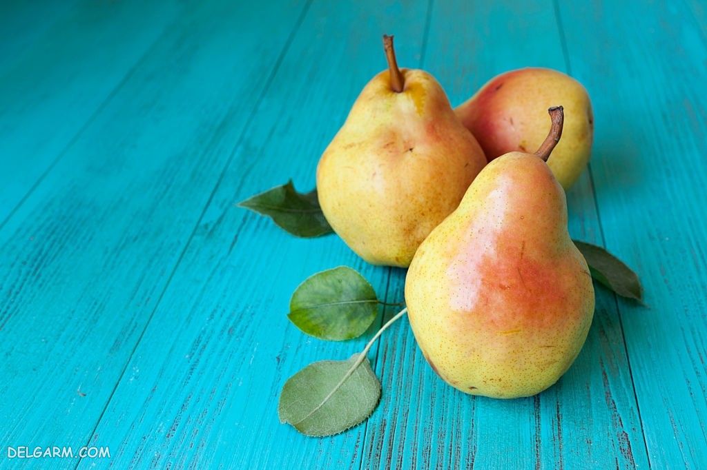 عکس گلابی برای پروفایل