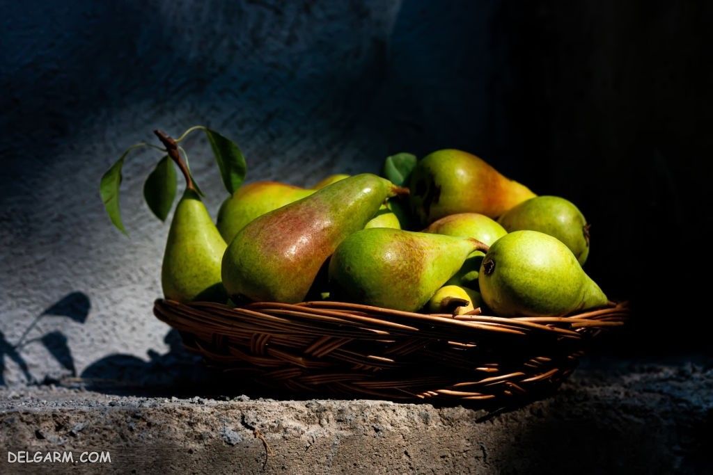  عکس گلابی برای بک گراند کامپیوتر و لپ تاپ