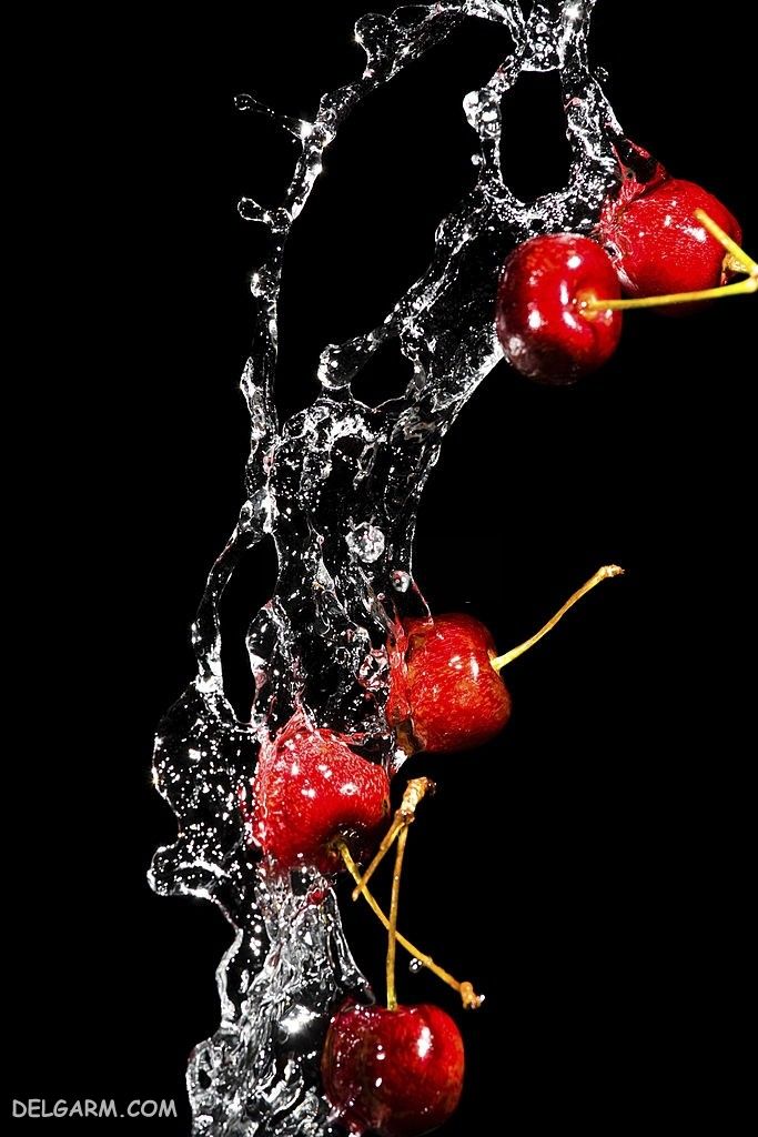  عکس گیلاس واقعی