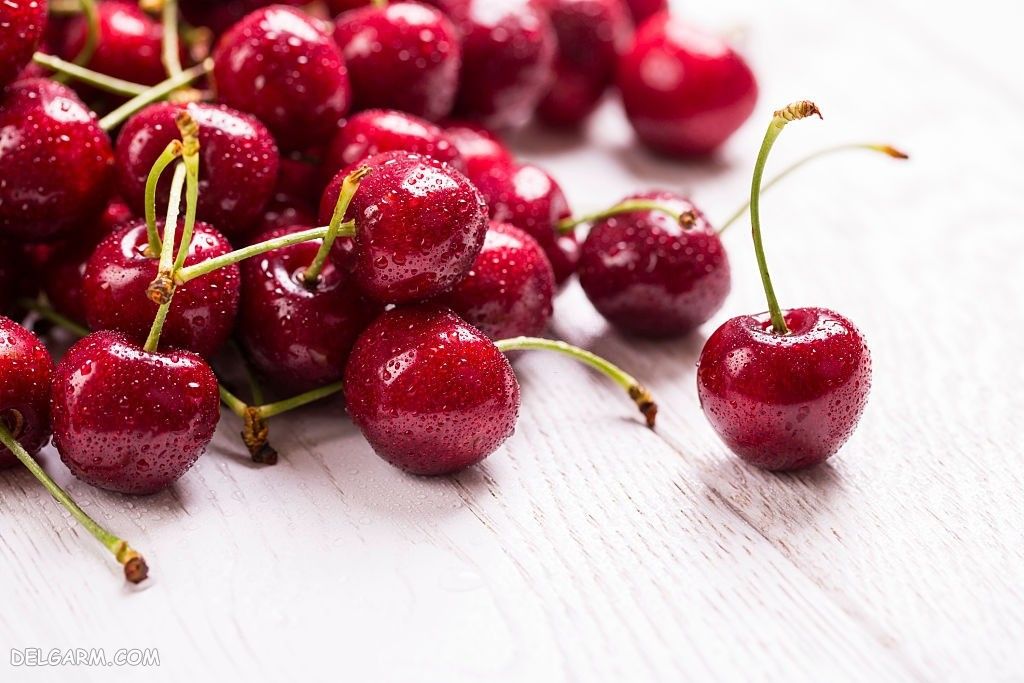  عکس گیلاس واقعی