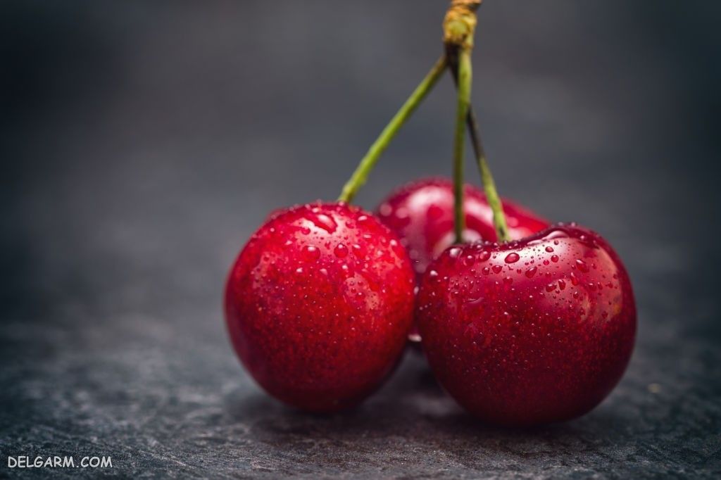  عکس گیلاس واقعی