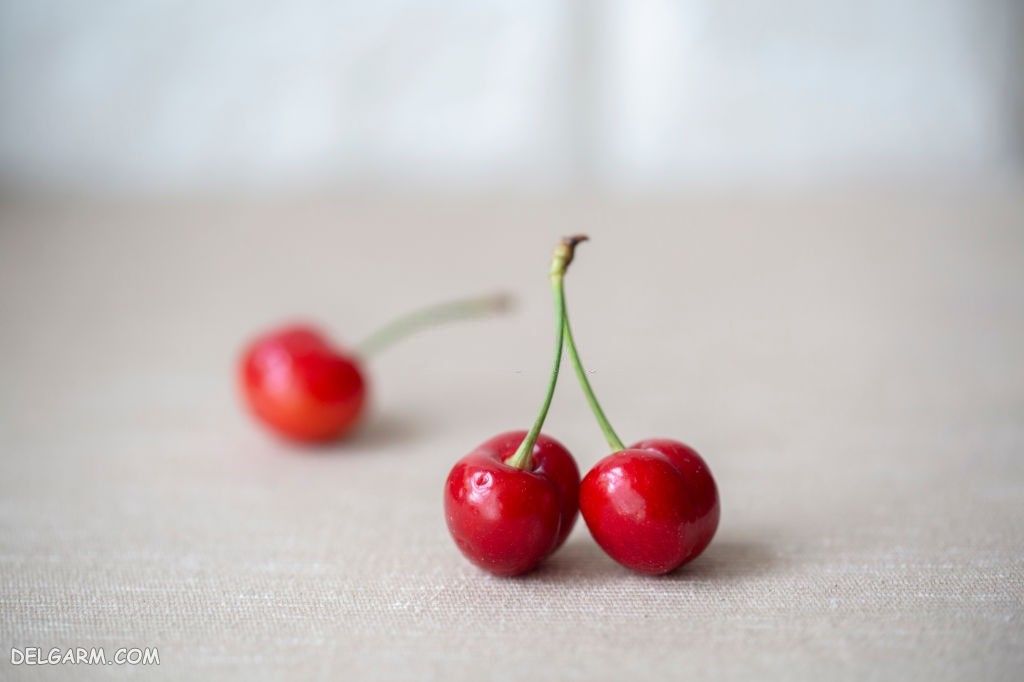  عکس گیلاس واقعی