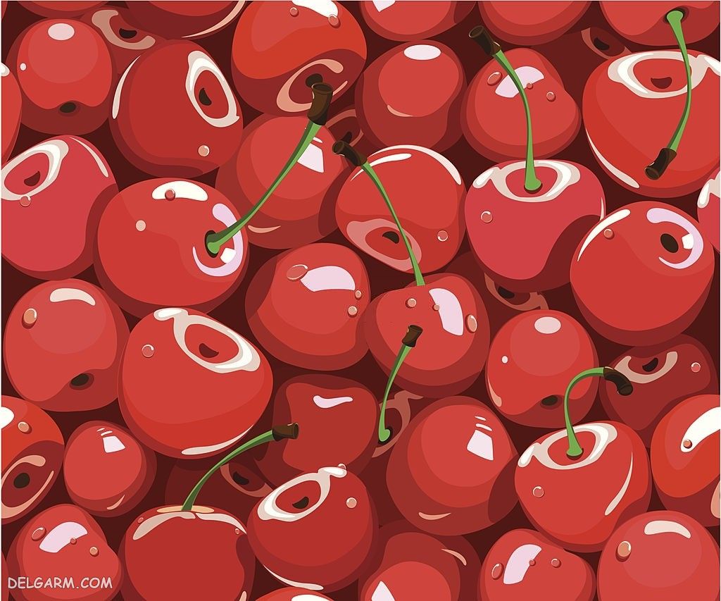  عکس گیلاس واقعی