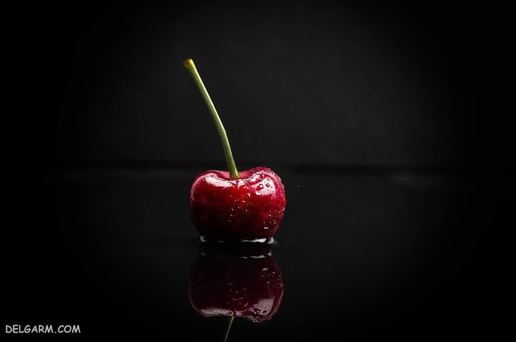  عکس گیلاس واقعی