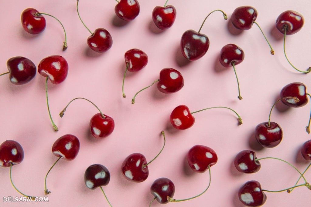  عکس گیلاس واقعی