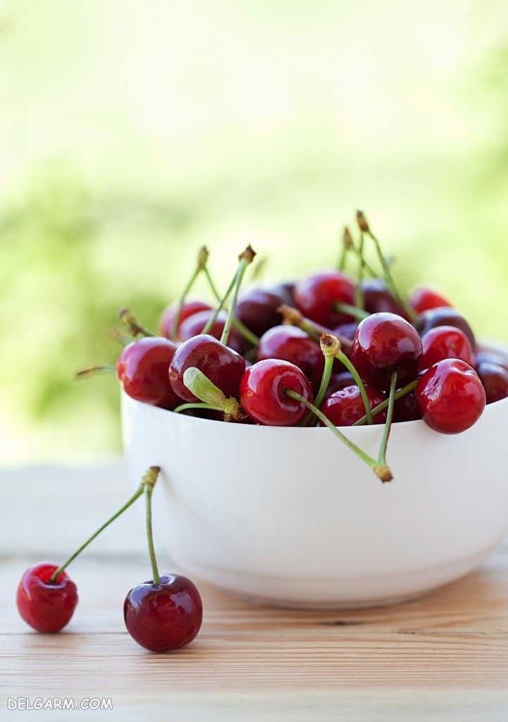  عکس گیلاس واقعی