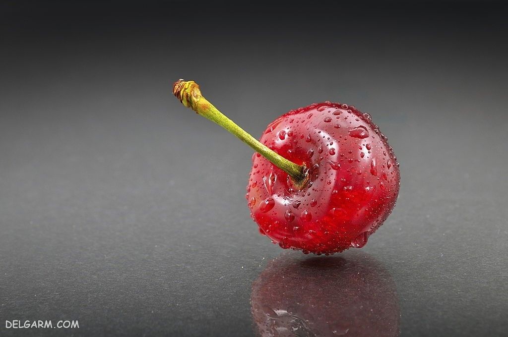  عکس گیلاس واقعی