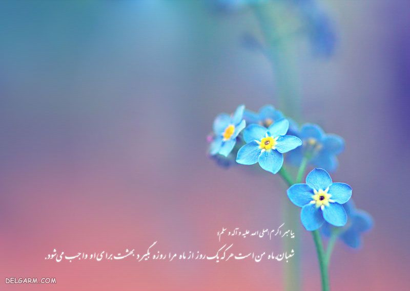 عکس از ماه شعبان