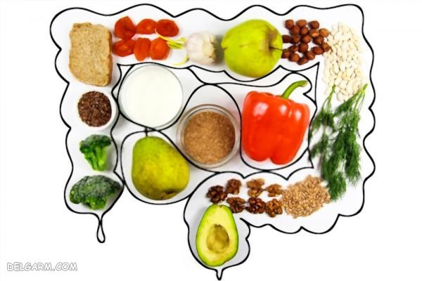 چه مواد غذایی حین و پس از مصرف آنتی بیوتیک خورده شود 