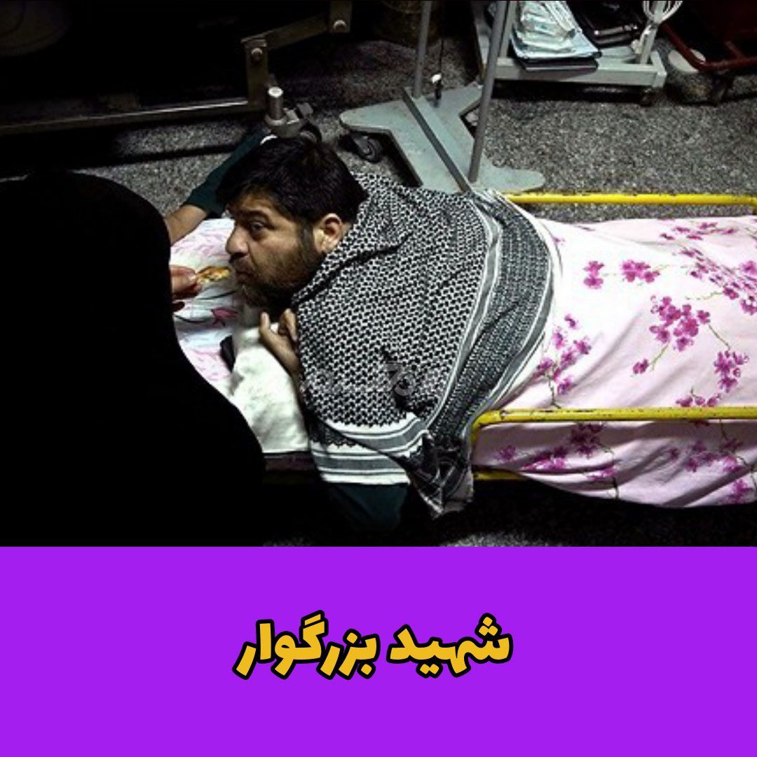 شهید در راه وطن / سید حسین آملی