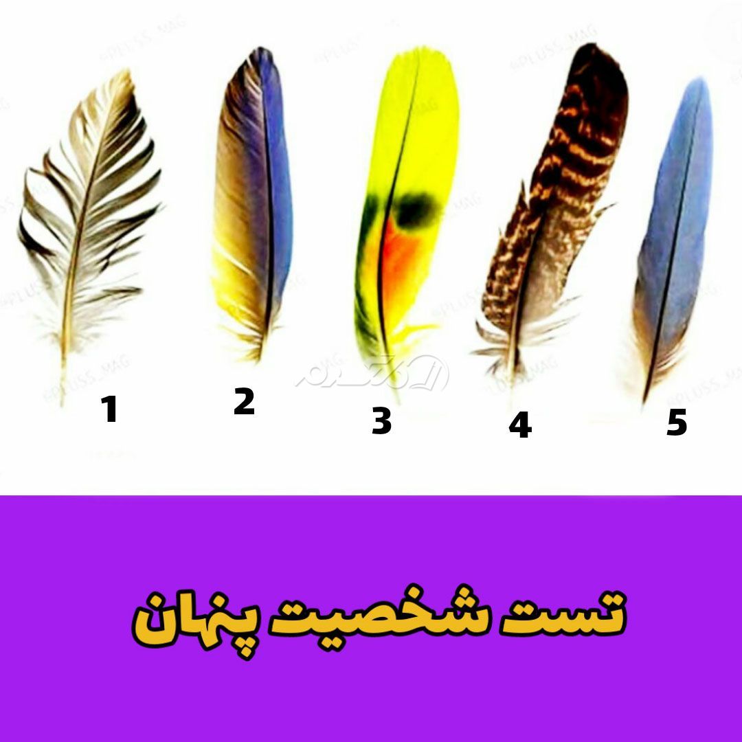 تست شخصیت شناسی / شخصیت پنهان