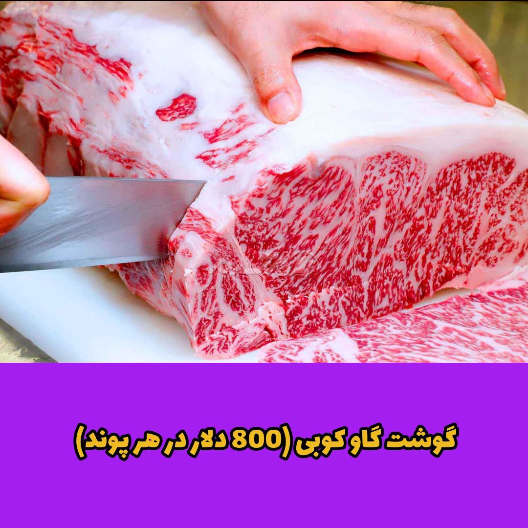 غذای لوکس / غذای لاکچری
