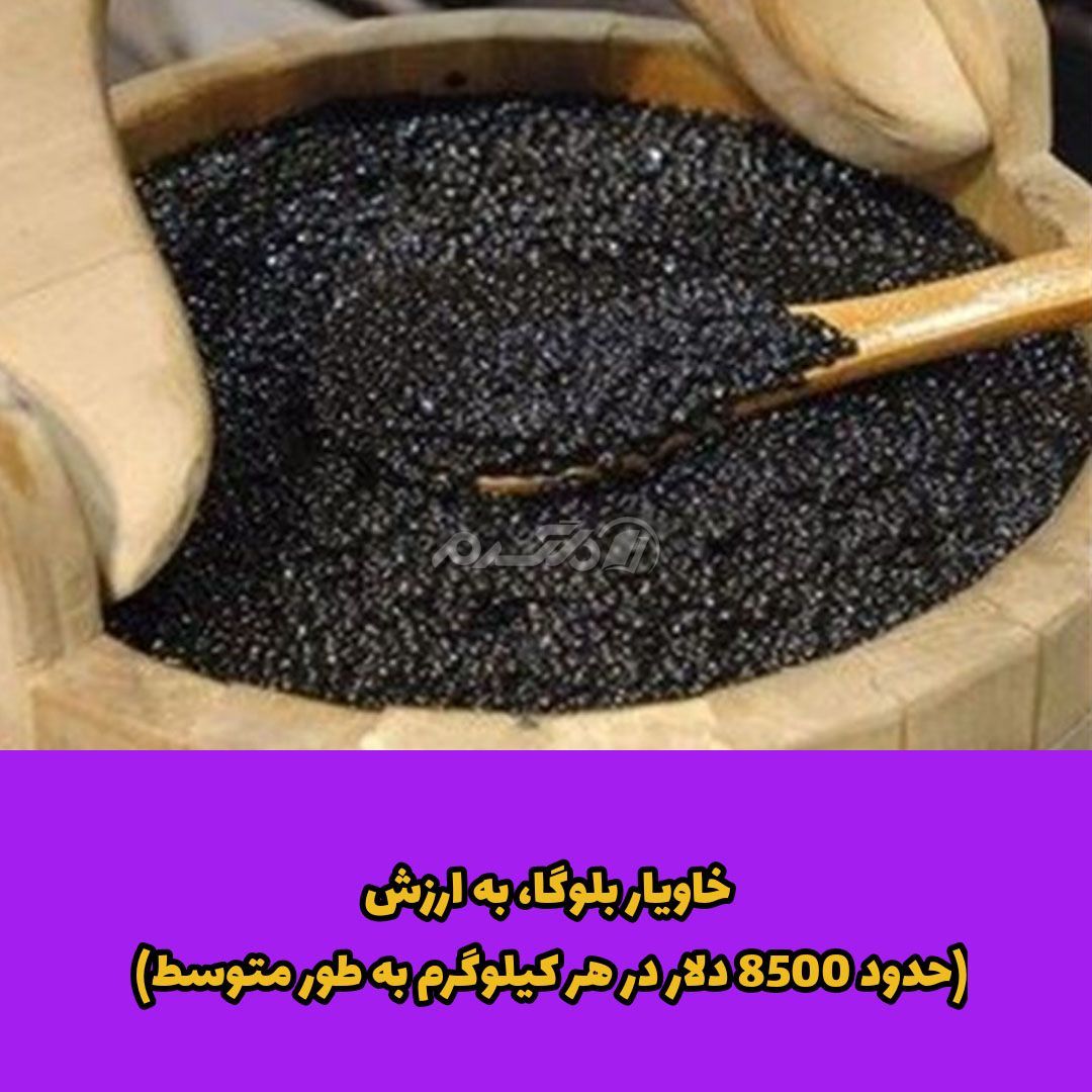غذای لوکس / غذای لاکچری