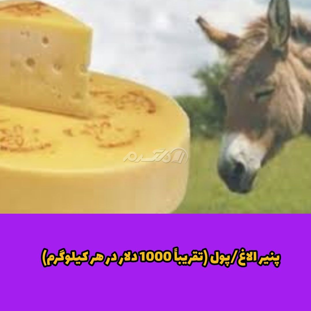 غذای لوکس / غذای لاکچری