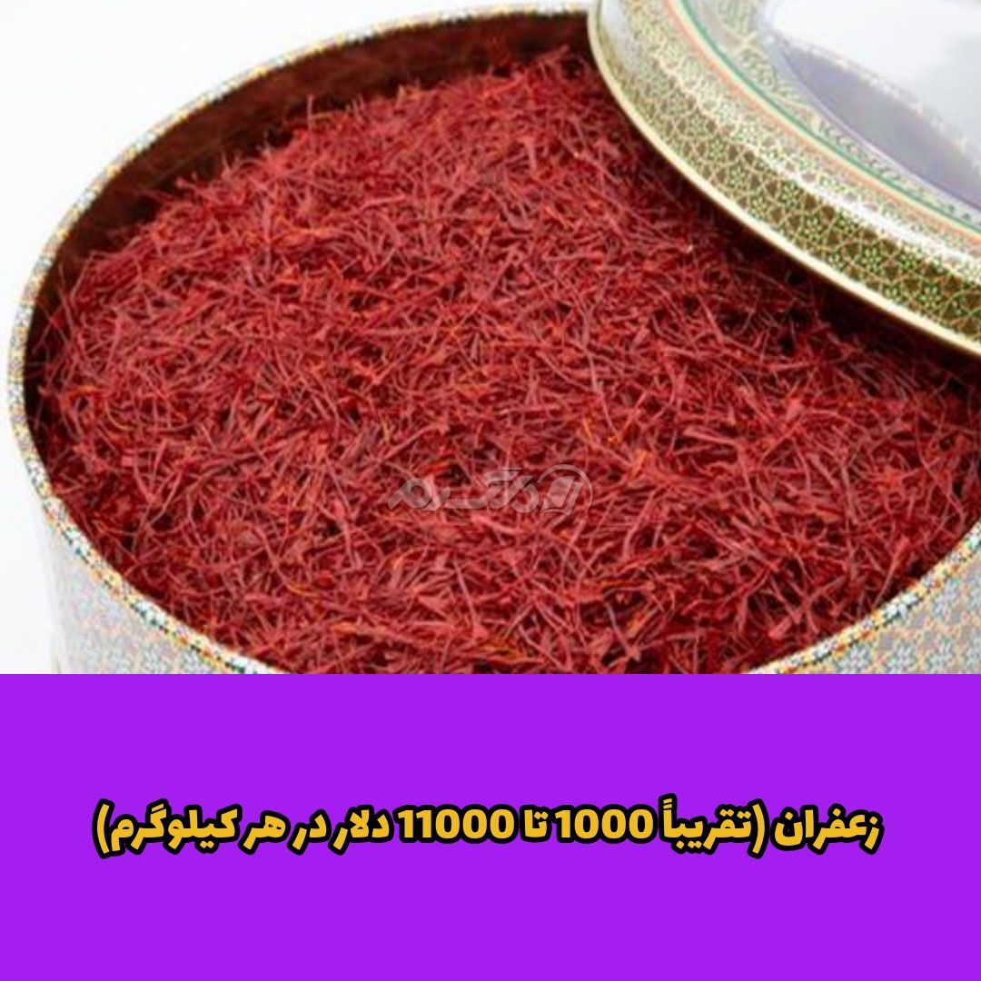غذای لوکس / غذای لاکچری