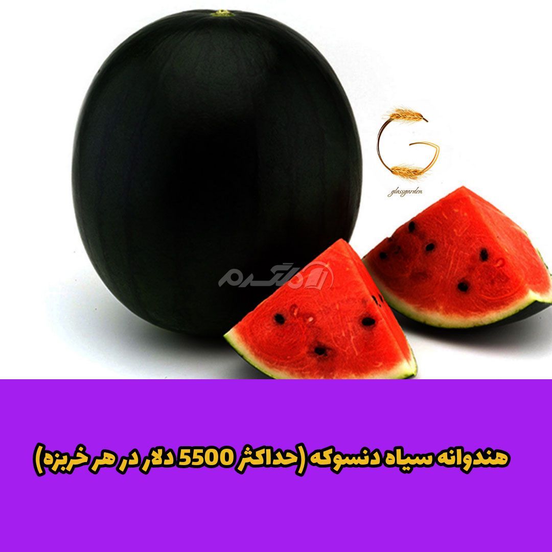 غذای لوکس / غذای لاکچری
