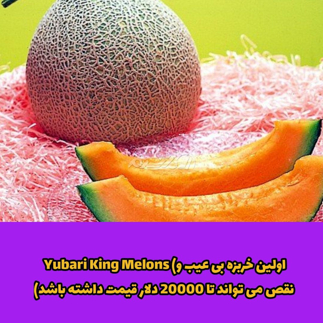 غذای لوکس / غذای لاکچری