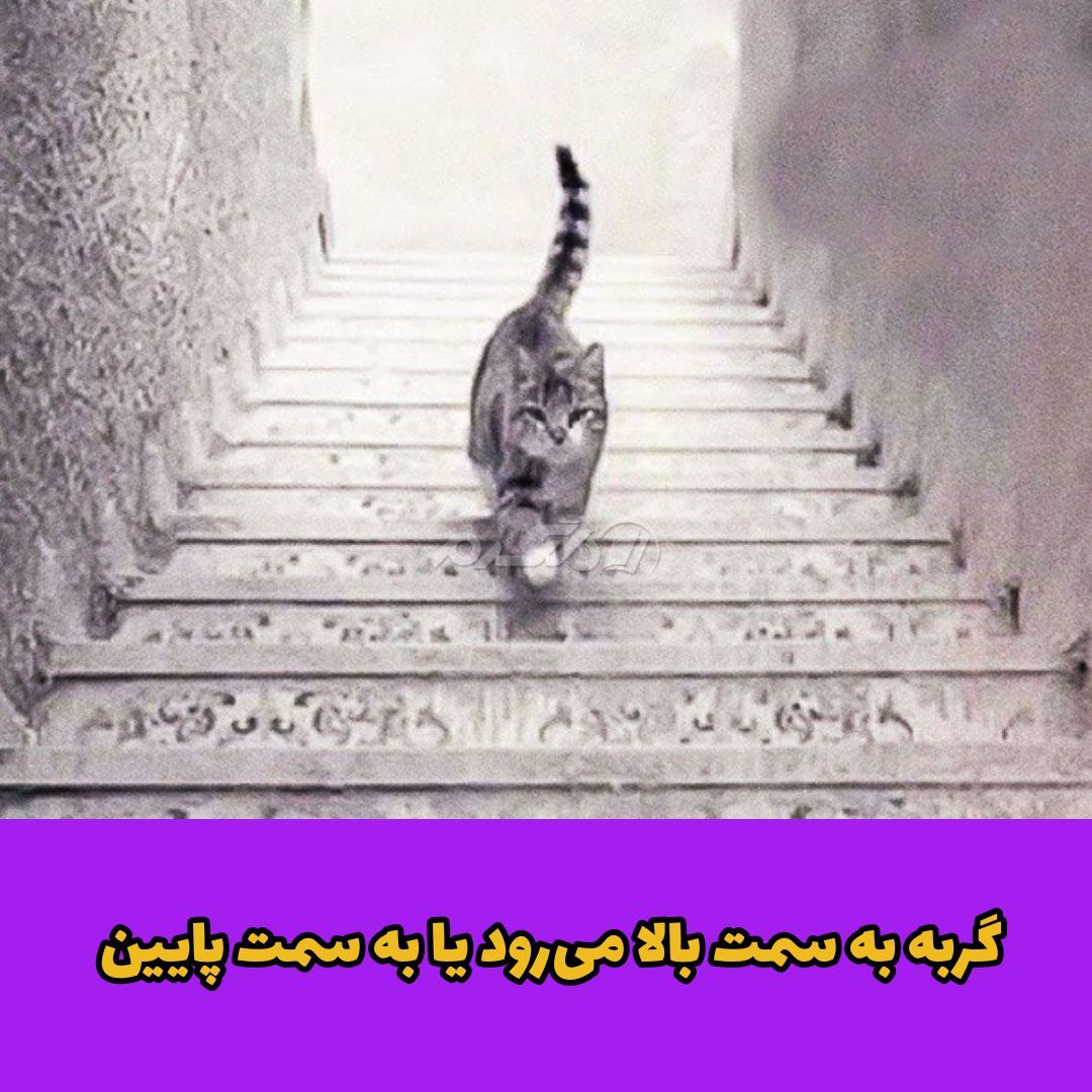 تست شخصیت شناسی / خود شناسی