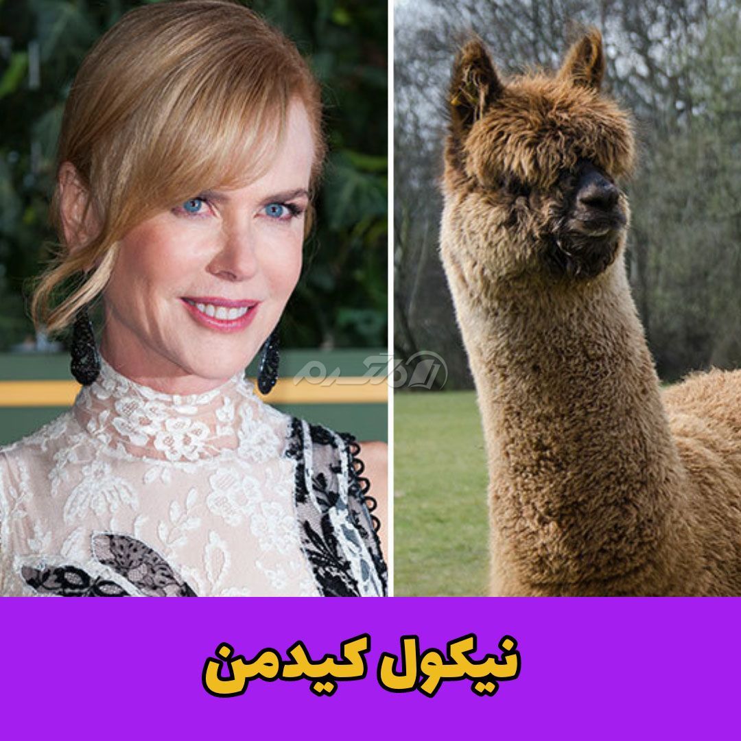 حیوان خانگی / نیکول کیدمن