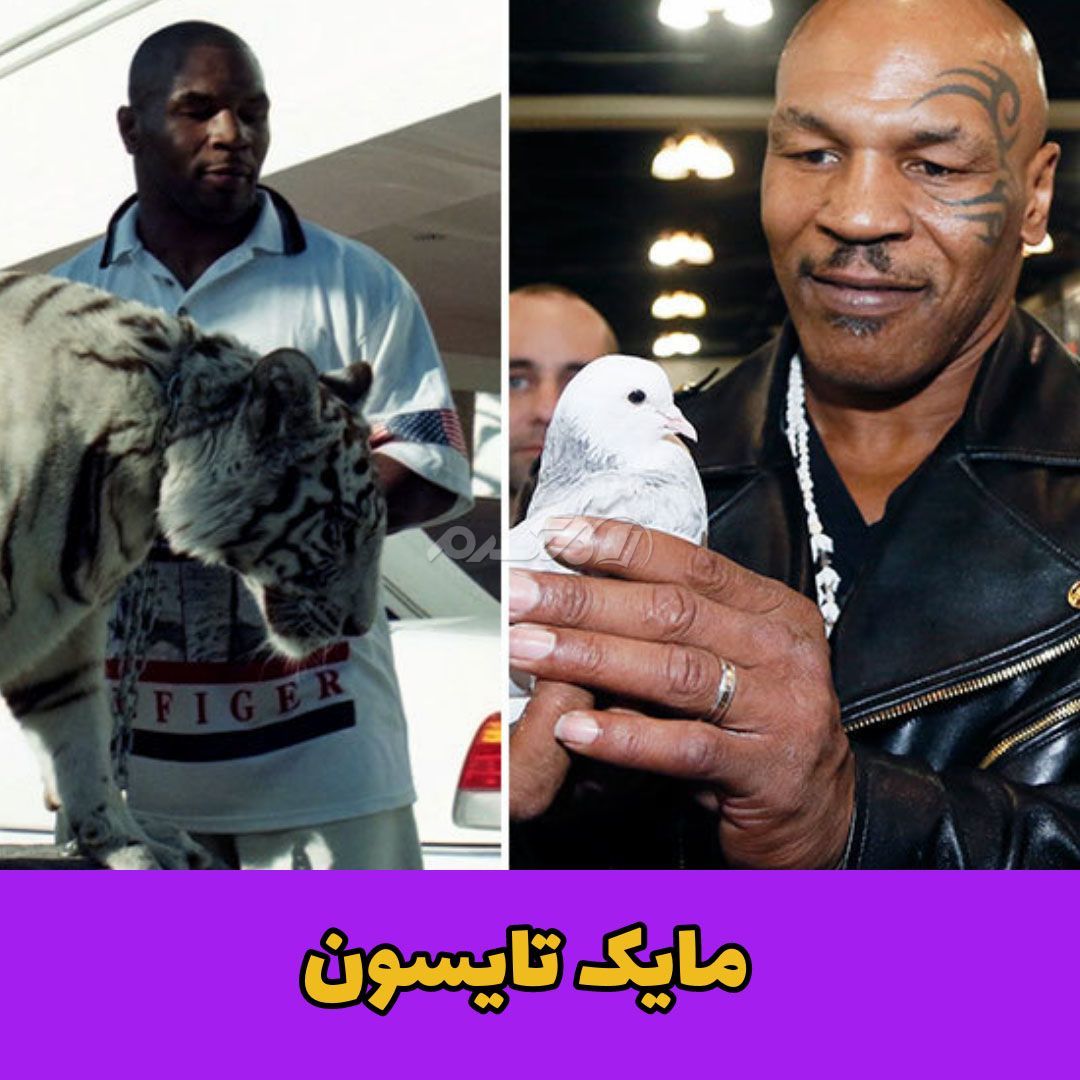 حیوان خانگی / مایک تایسون