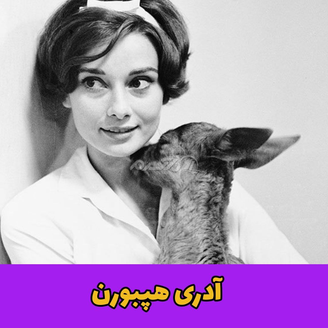 حیوان خانگی / آدری هپبورن