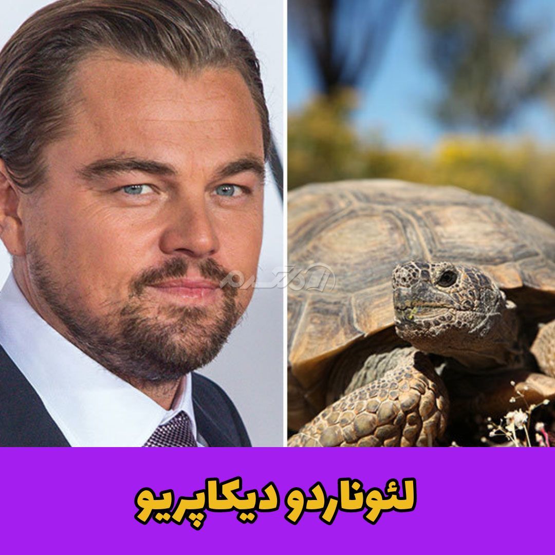 حیوان خانگی / لئوناردو دیکاپریو