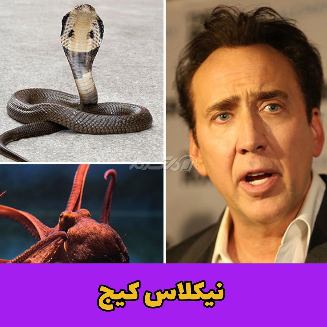 حیوان خانگی / نیکلاس کیج