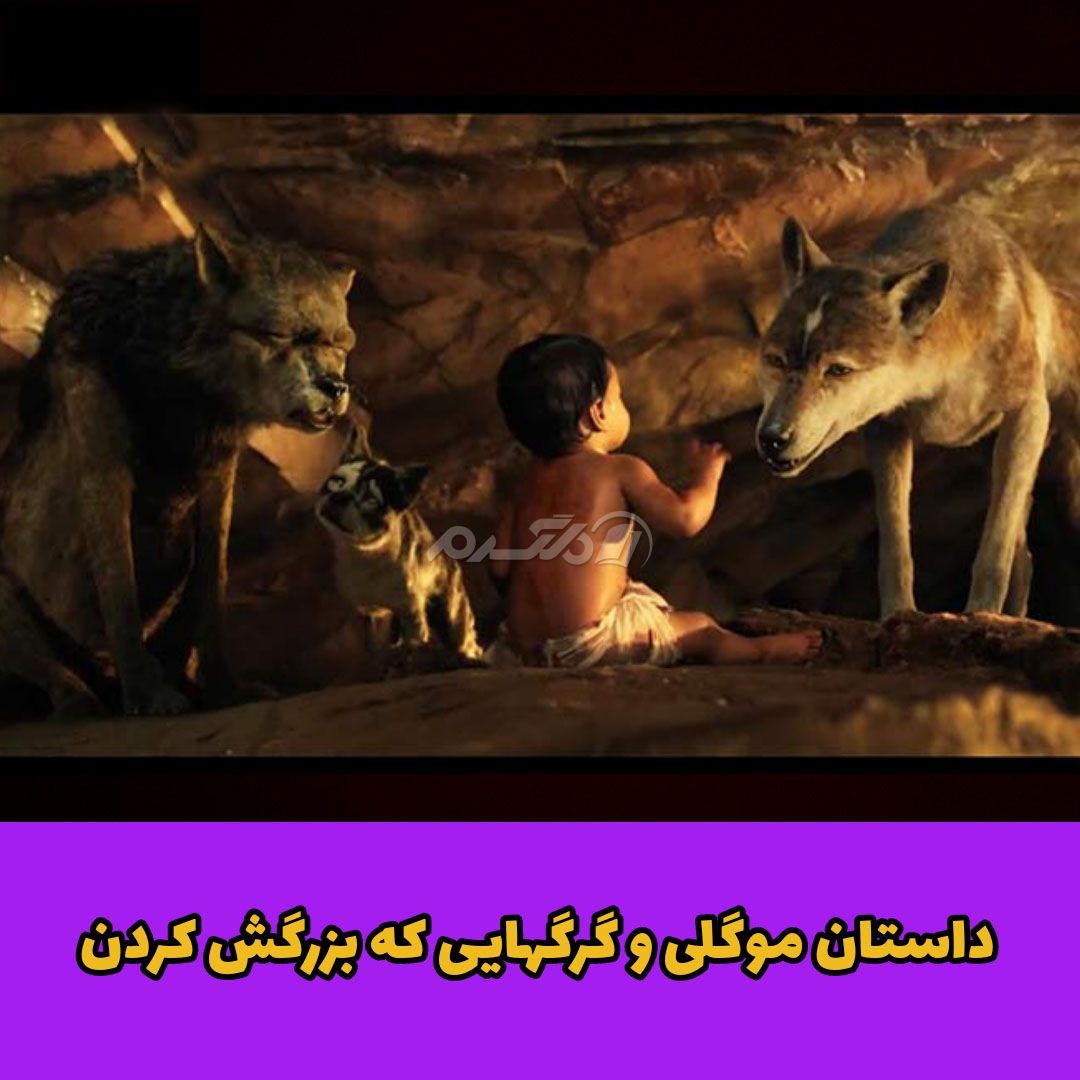 داستان واقعی / موگلی پسر جنگل