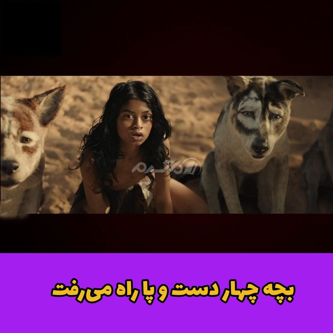 داستان واقعی / موگلی پسر جنگل