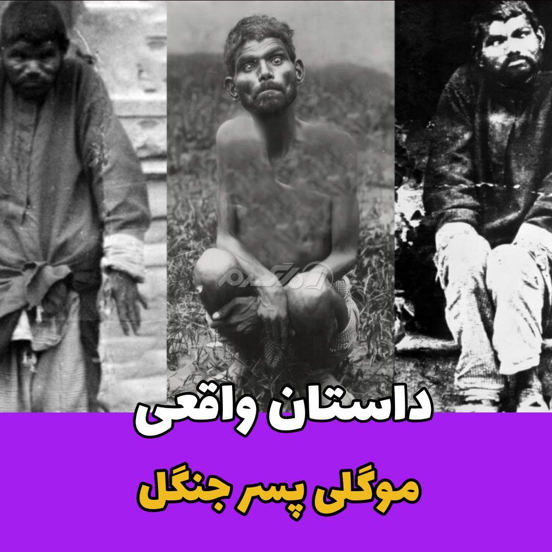 داستان واقعی / موگلی پسر جنگل