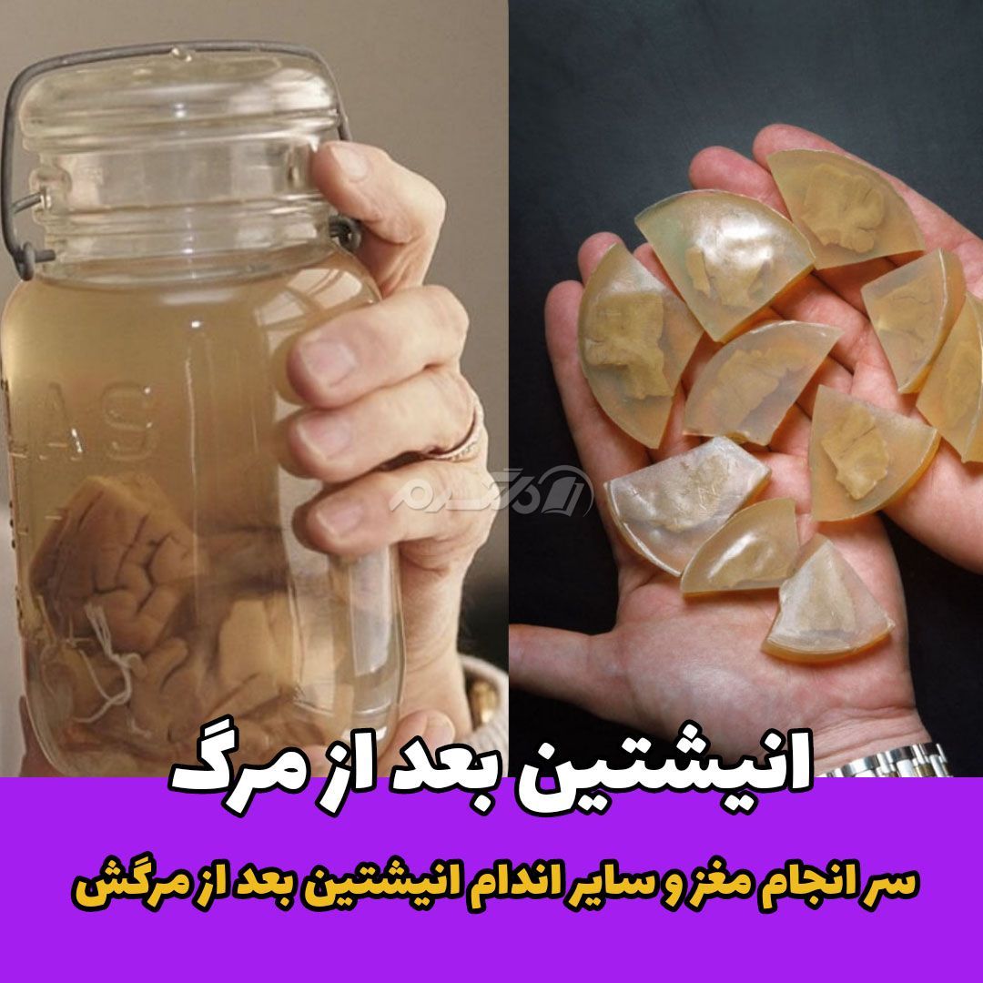 داستان زندگی / آلبرت اینشتین