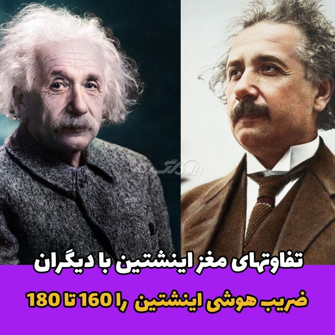 داستان زندگی / آلبرت اینشتین