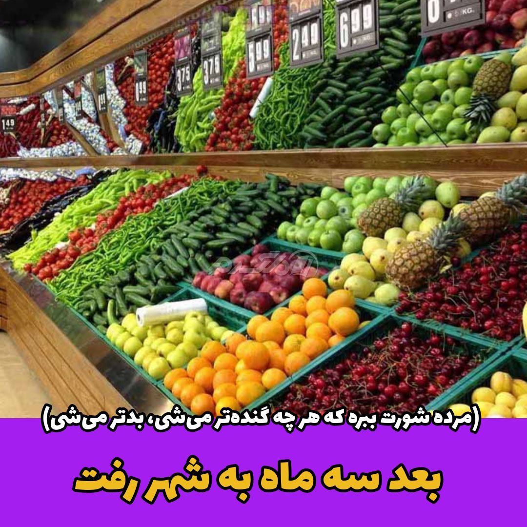 ضرب المثل ایرانی / مرده شورت ببره