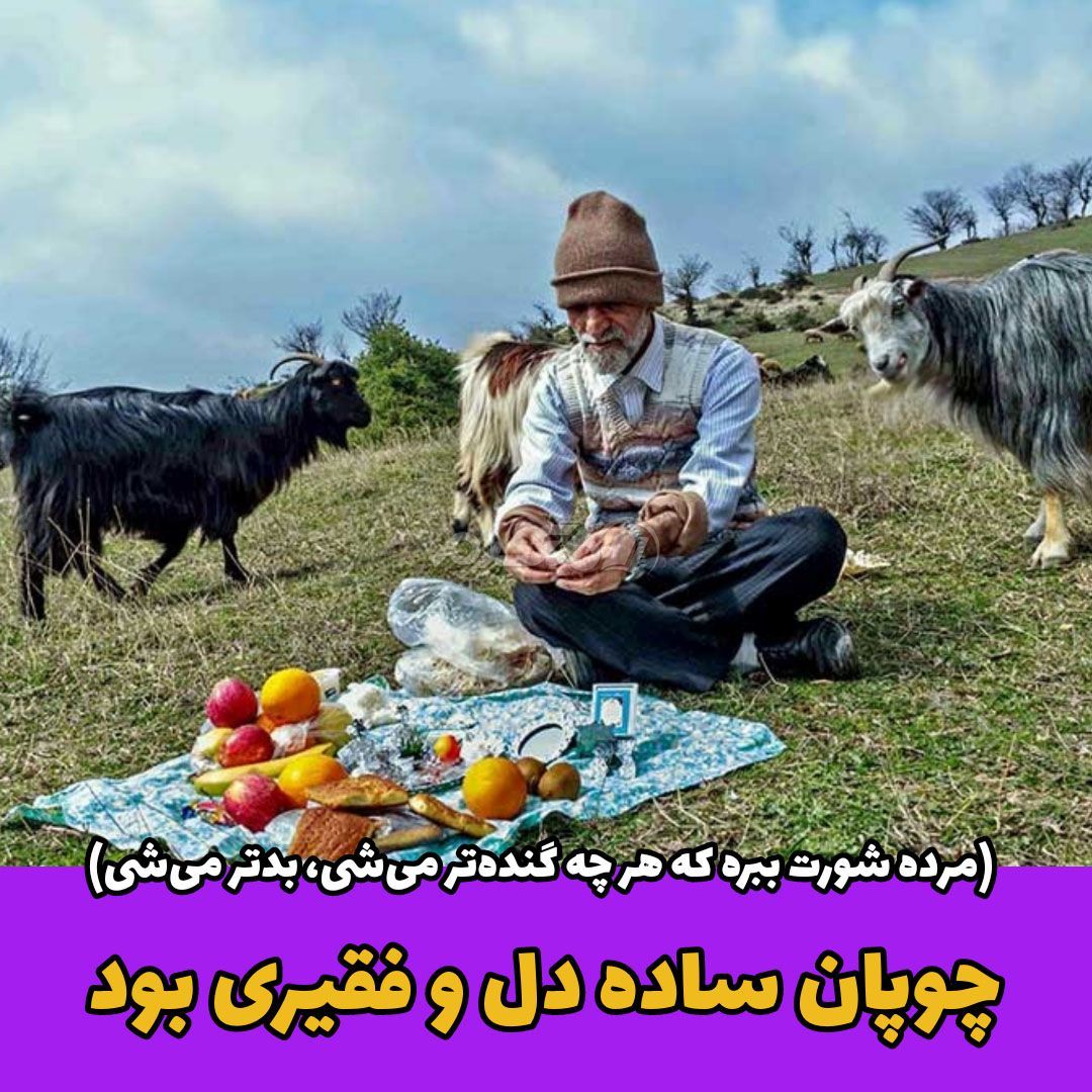 ضرب المثل ایرانی / مرده شورت ببره