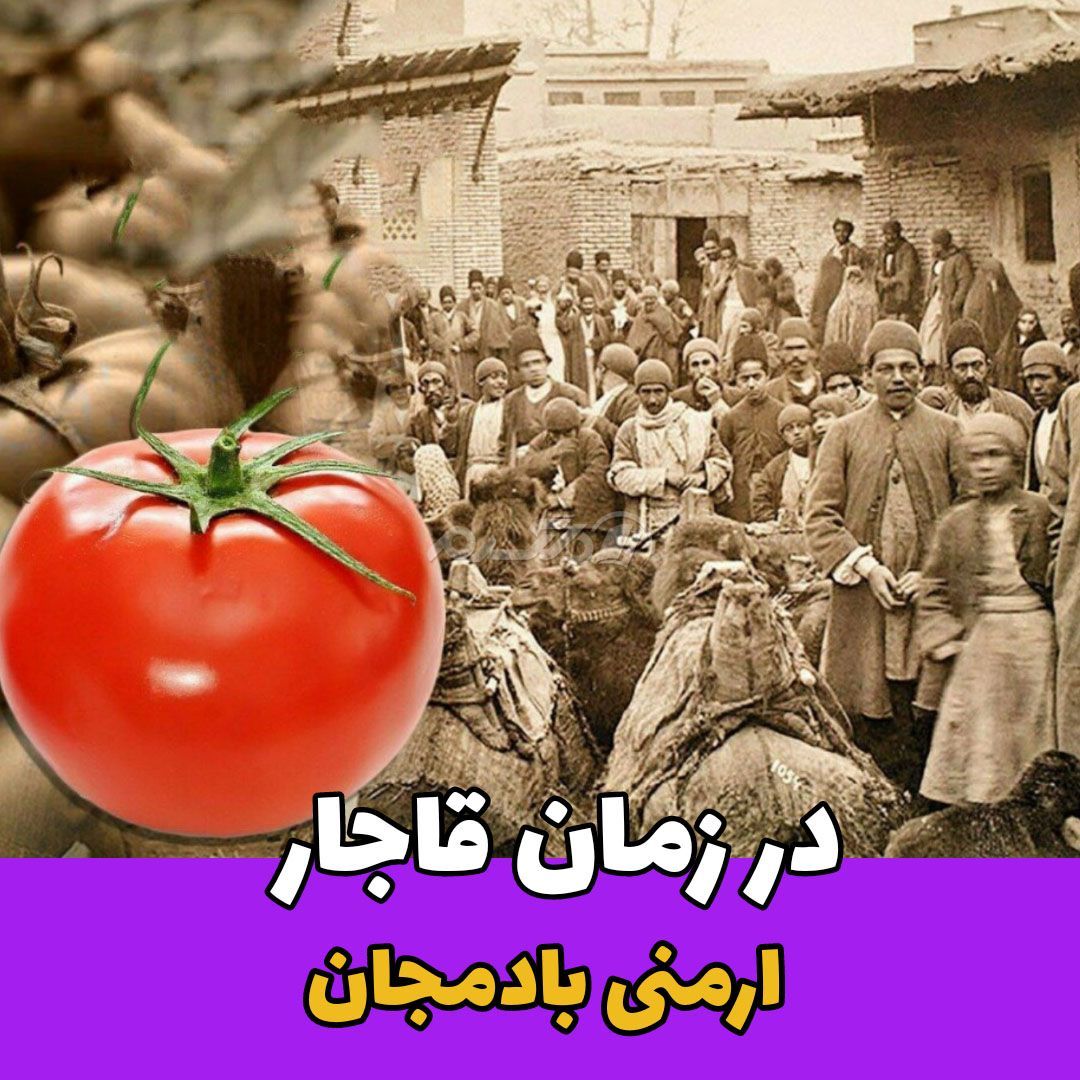 دوران قاجار / گوجه فرنگی